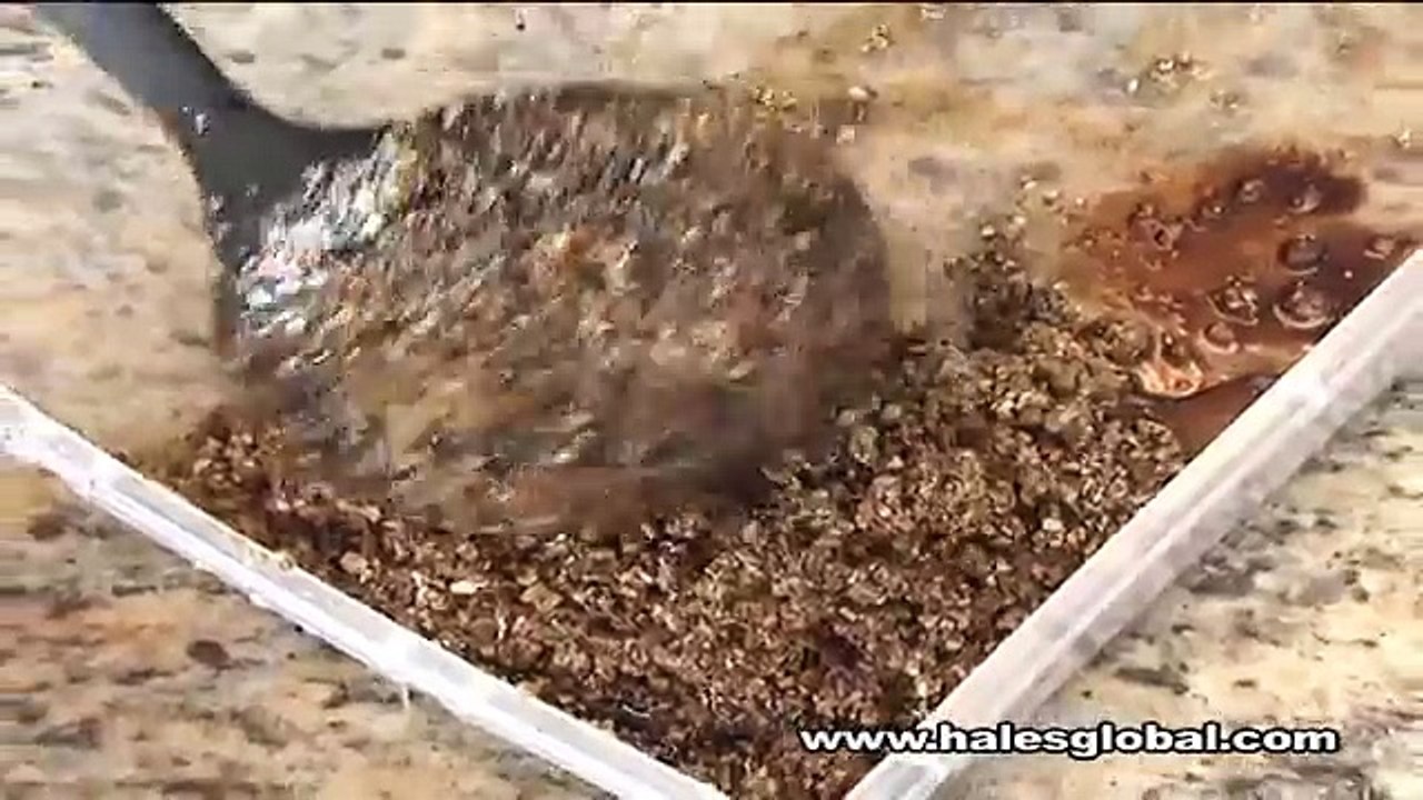 Larry Hales, Hales Global, Hales Global Group, Network, Larry Hales CEO/President