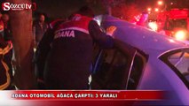 Adana Otomobil ağaca çarptı: 3 yaralı