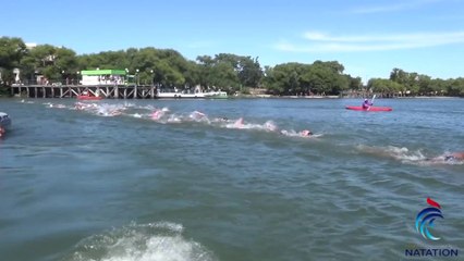 FFN - Grand angle: Les marathoniens de l'eau libre