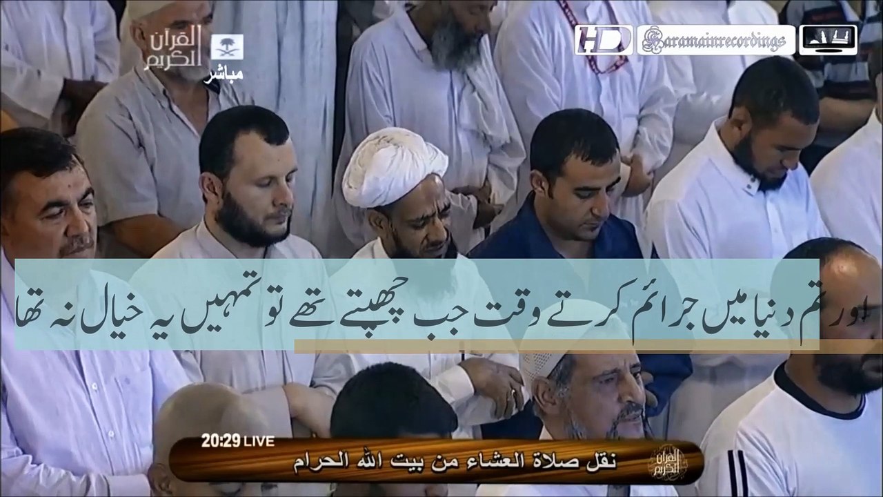 Heart touching Surah Hamem Sajdah