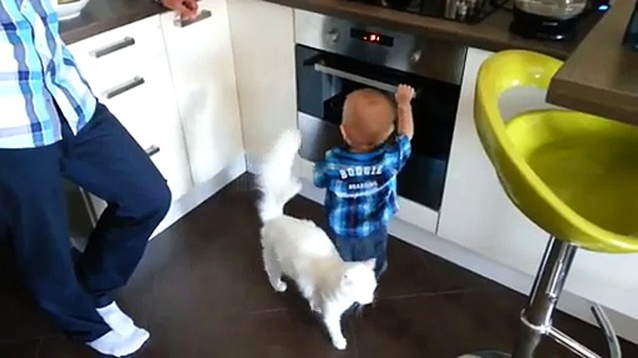 Un chat empêche un enfant de toucher au four!