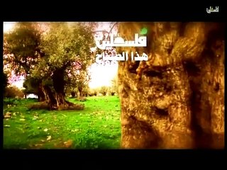فلسطين هذا الصباح  الخميس 26-3-2015 ج1