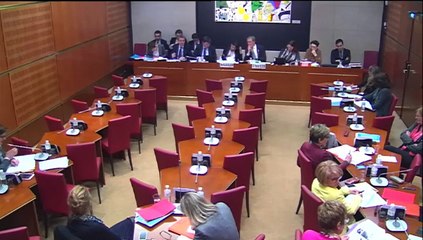 Enseignement du latin | Réforme du collège, audition de la Ministre