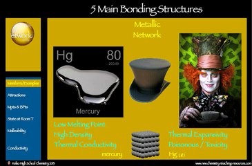 SBVideo_5_MN_Members