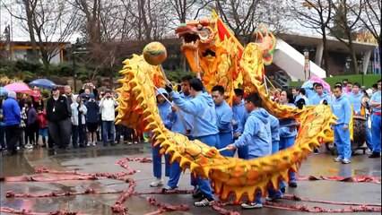 Vovinam: drangon and lion dance demo