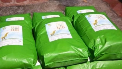 Biotecnología colombiana busca mejorar cría de aves e industria de alimentos