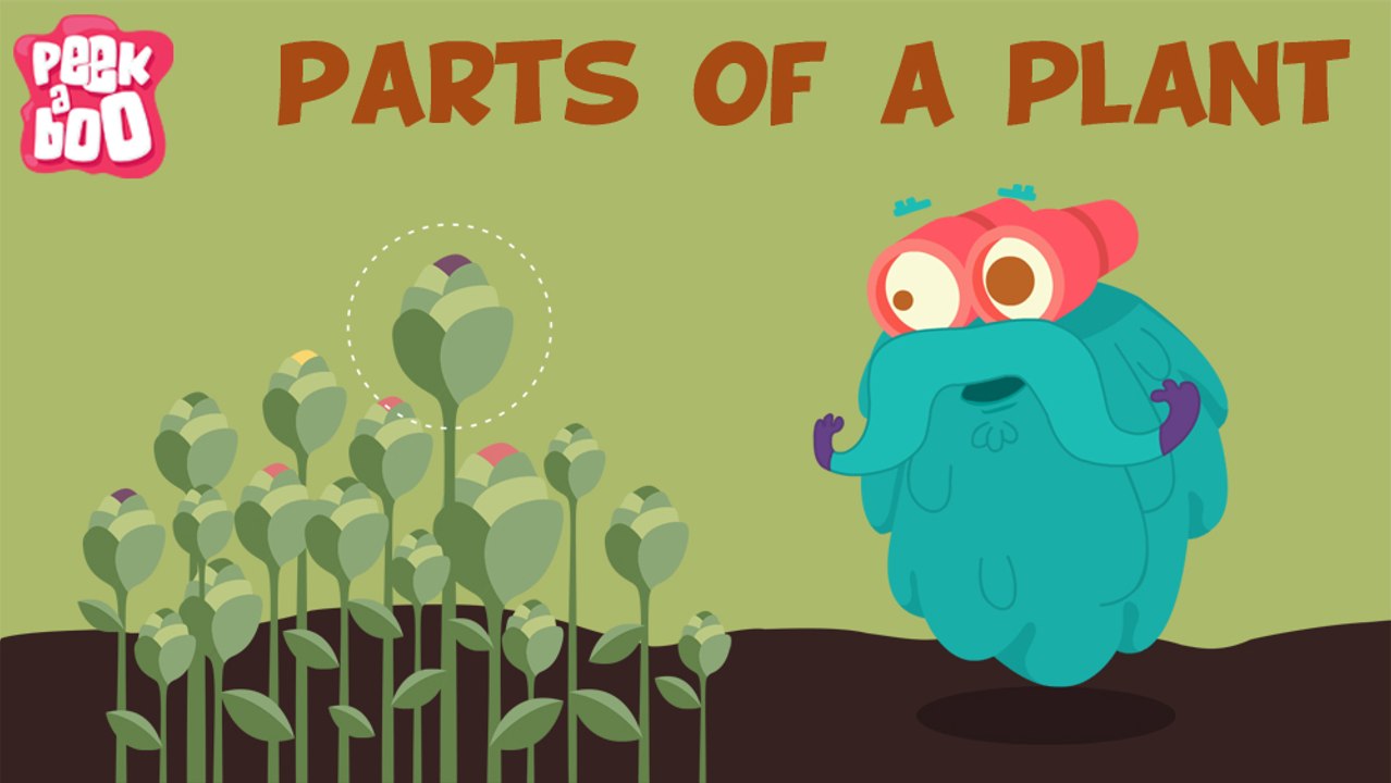 Parts Of A Plant The Dr. Binocs Show Learn Series For Kids video