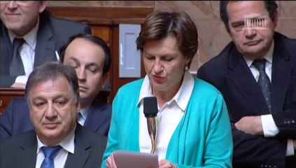 Annie Genevard - Soutien au commerce de proximité