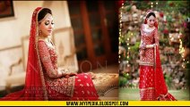 Sharmeela Farooqi Wedding Barat Pictures - Video Maza