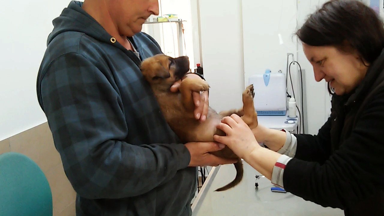 Be Aware H's @ Manneskraft / Virility