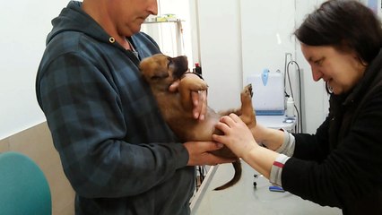 Be Aware H's @ Manneskraft / Virility