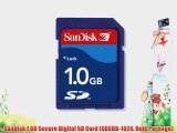 SanDisk 1 GB Secure Digital SD Card (SDSDB-1024 Bulk Package)