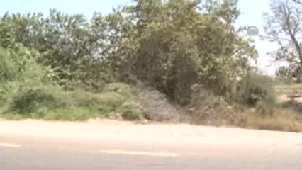 Yemen'in Güneyindeki Çatışmalar