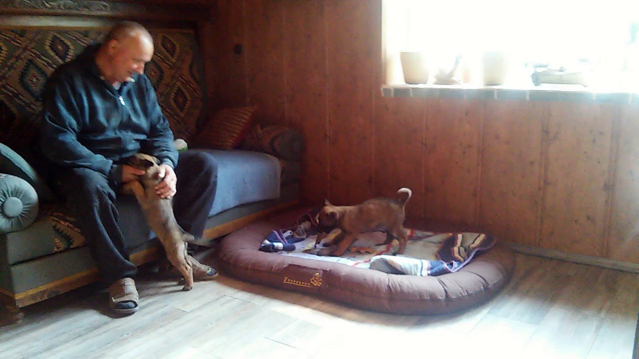 Be Aware H'Girls @ Pussycats!