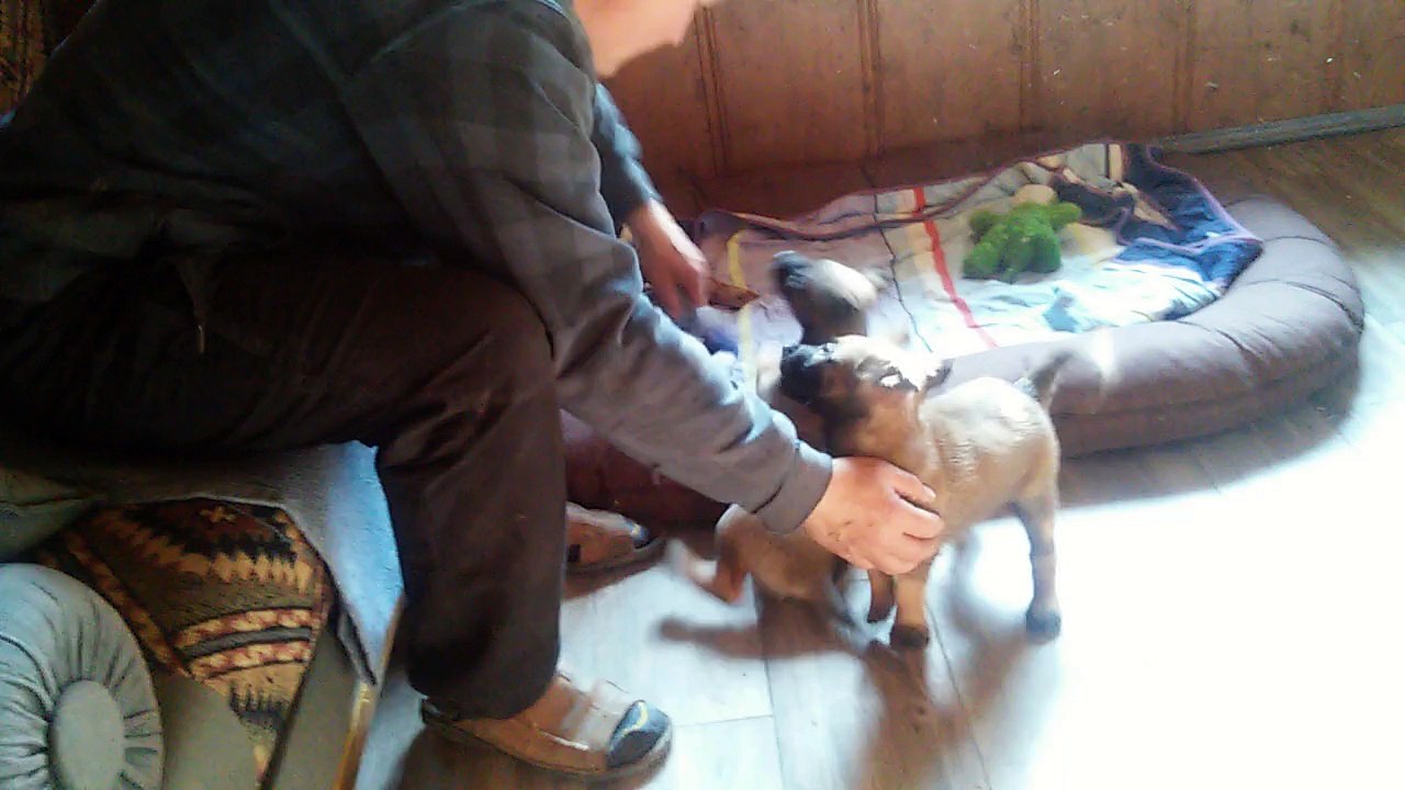 Be Aware HERA & HOSHI @ TeamWORK!