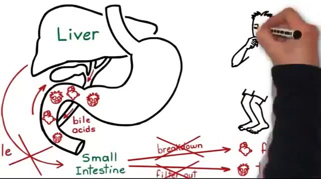Perder Barriga - Perda de Peso e Perder Barriga