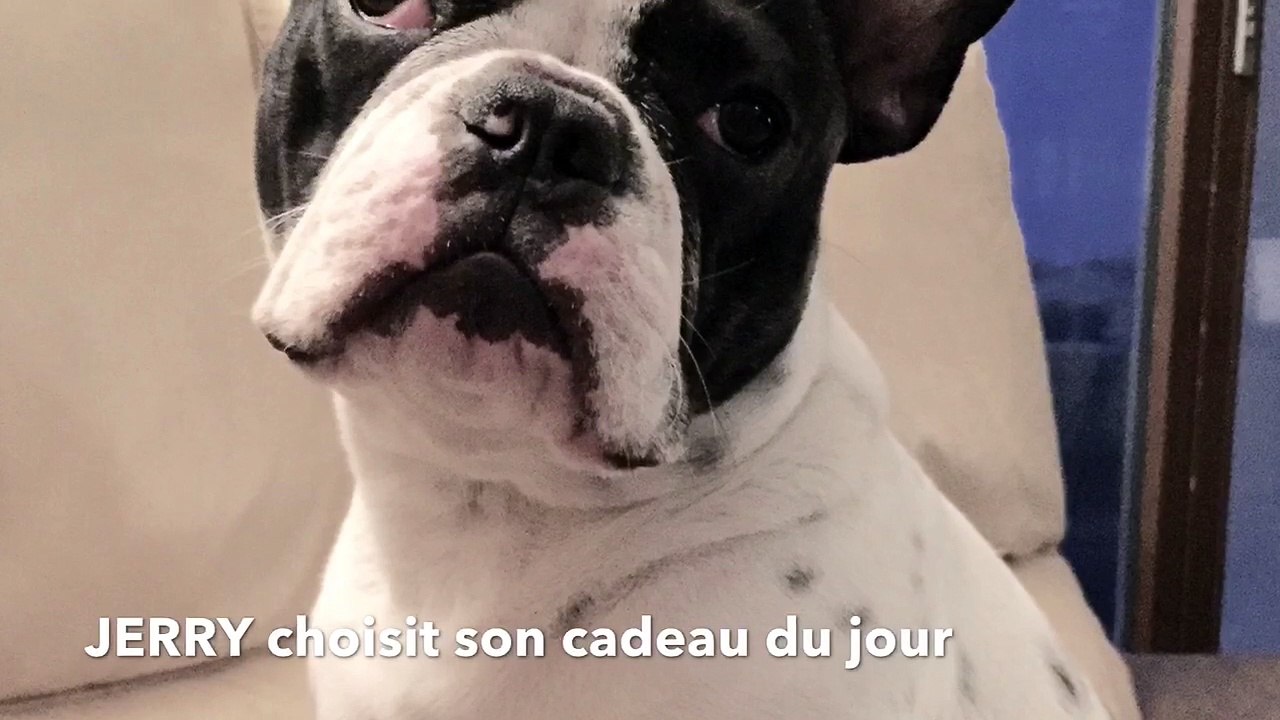 JERRY choisit son cadeau du jour...