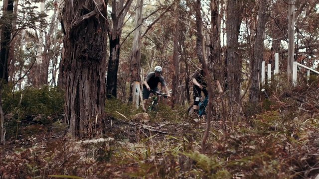 Mountain Biking on the Knocklofty Trails in Hobart, Tasmania