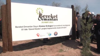 Bereket Ormanları" Projesi - Sakarya/kırıkkale/adana/aydın/çorum/