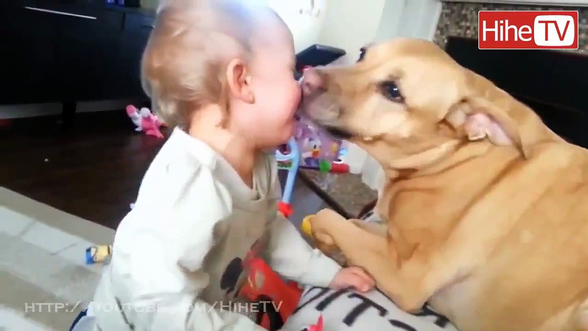 CUTE Pets: Animals And Babies Playing Together - Love animal