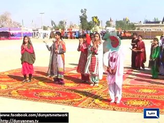 Dunya News - CM Sindh organized 145 horse and cattle show in Jacobabad