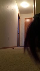 Funny Cockatoo running on the floor yelling at everything - Video Dailymotion_HD
