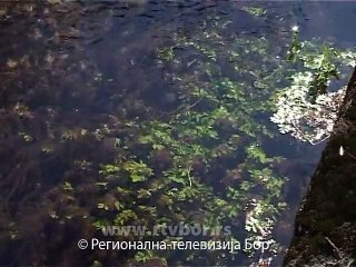 Borani piju čistu vodu, 26. mart 2015. (RTV Bor)