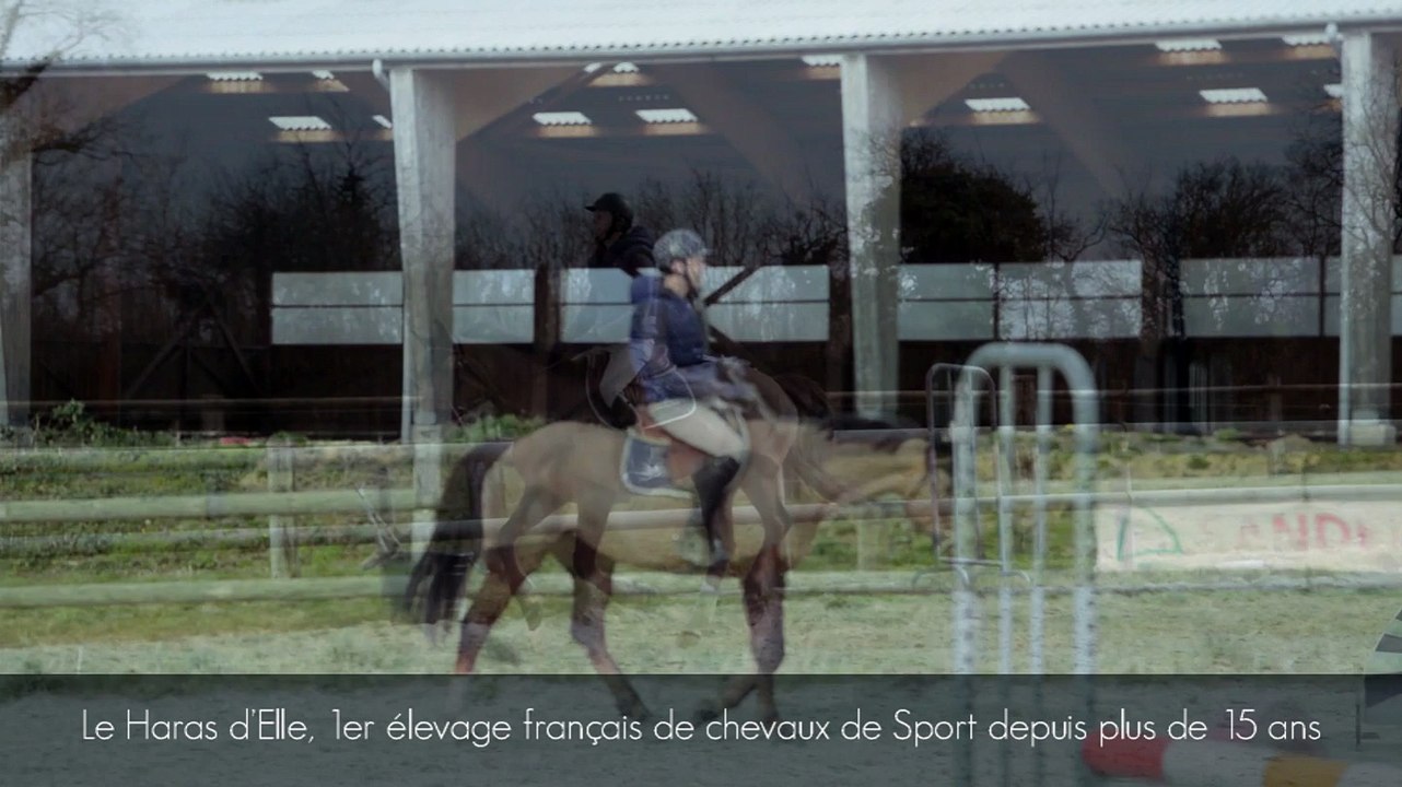 Le Haras d'Elle, partenaire de horseCom