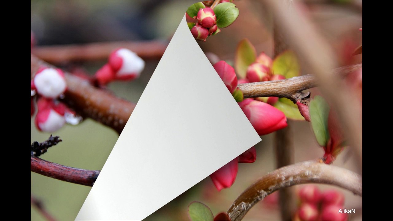 Bu Bahar Aşka Hazır