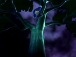 Naruto Uzumaki Ninden Ps2 opening