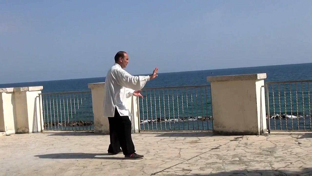 CORSI DI TAI CHI DA 10 EURO A ROMA: LA FORMA 24 - VISIONE POSTERIORE