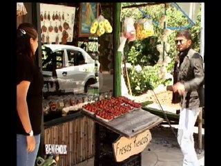 Diarios de un motociclista