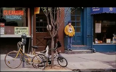 Tredici variazioni sul tema (2001)