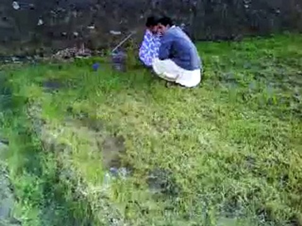 LaLa TV Chek Kar LoL pe LoL - Fun 4 Everyone