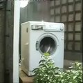 DubStep'le Kendinden Geçen Çamaşır Makinesi