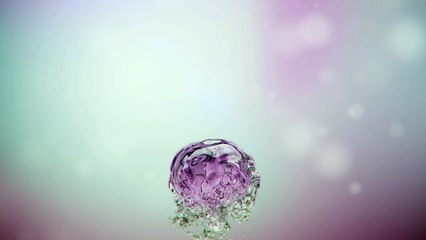 QT - Making Of Video