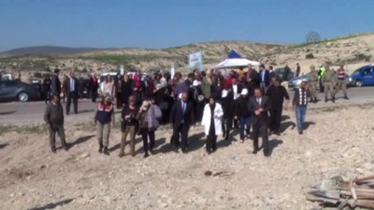 Bereket Ormanları Projesi"