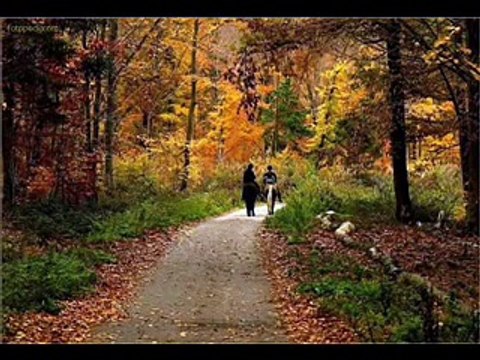 Farid farjad Sangeh Khara