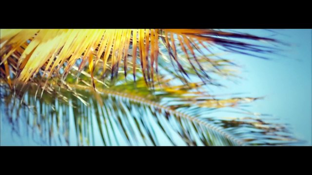 Darius & Finlay - Tropicali (Official Video) HD
