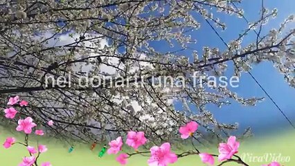 Benvenuta  Primavera