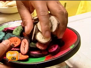 Arte, moda e inspiración con cáscaras