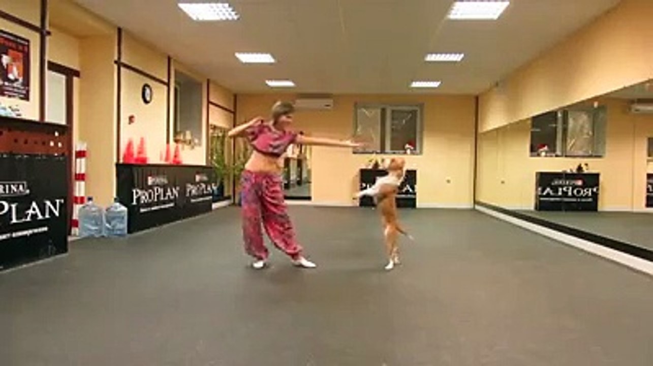 entertainment