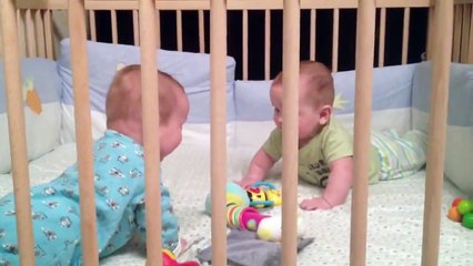 близнецы , договариваются как будут выбираться