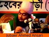 Funny Bangla Waz | Islam And Bangladeshi Politics.