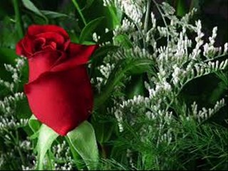 ...   کوہ بہ کوہ پھیل گی بات شناسی کی۔۔ اس نے پھولوں کی طرح مری