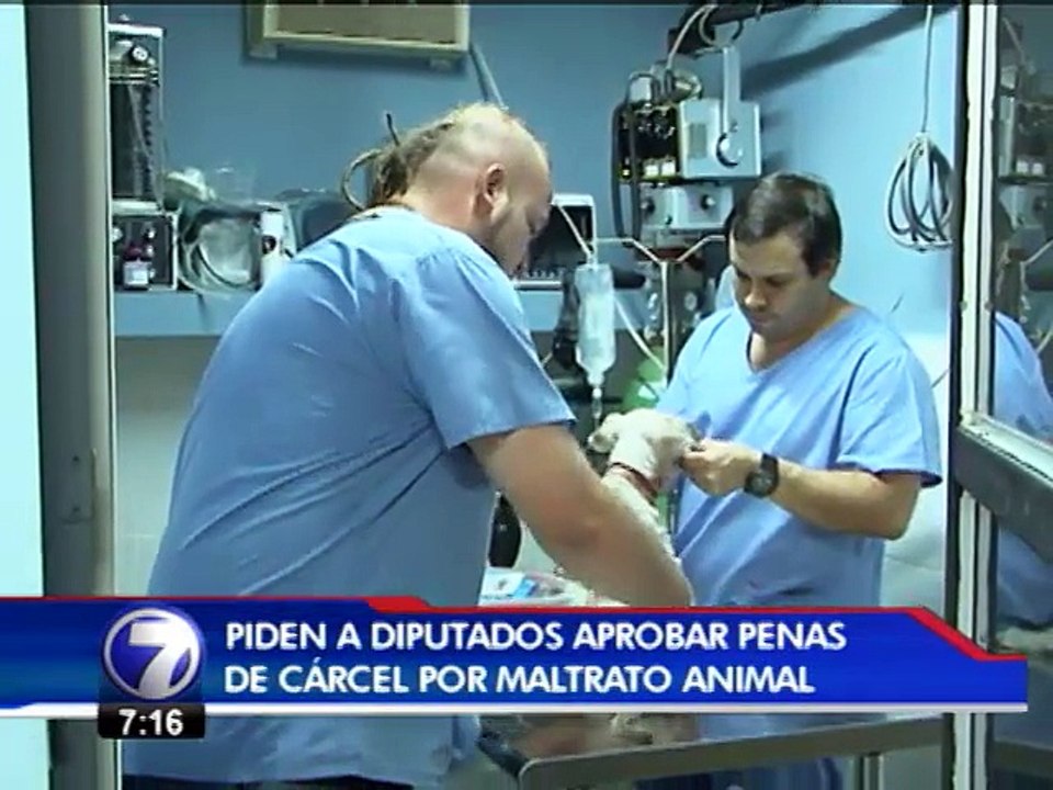 Grupos defensores de animales piden a diputados...