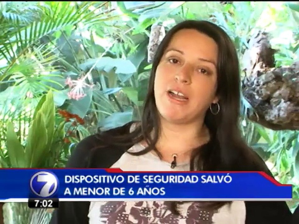 Mujer e hijo de 6 años se salvaron luego de que árbol cayera sobre su auto