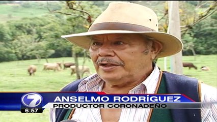 Coronado mostrará lo mejor de sus productos en feria agrícola y pecuaria