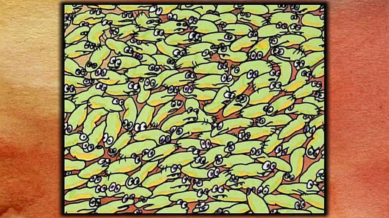 Viande, alerte aux antibios - Dok