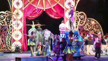 El polémico trabajo de elefantes en circos